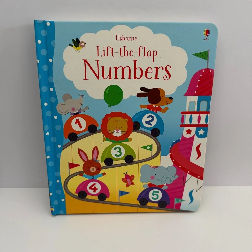 Usborne Lift-the-flap Book Set First Math Colors Numbers